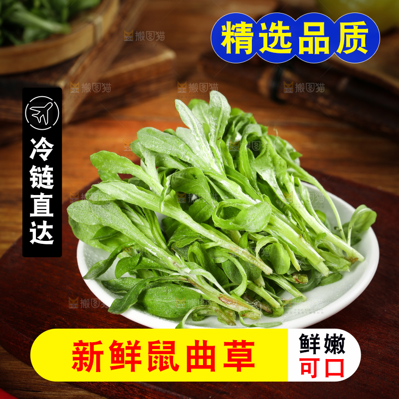 一盘野生鼠曲草