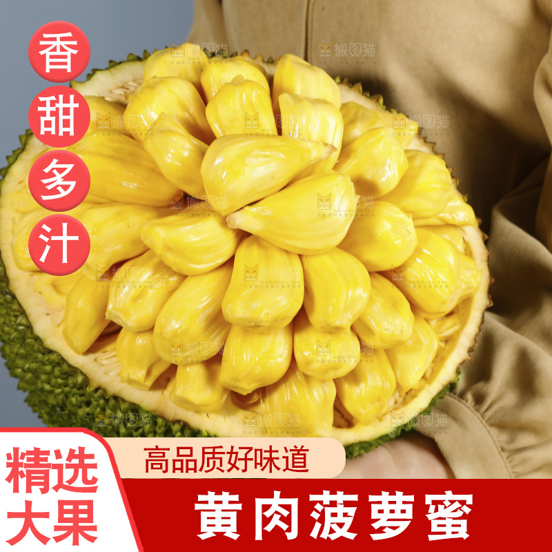 手里抱着海南黄肉菠萝蜜