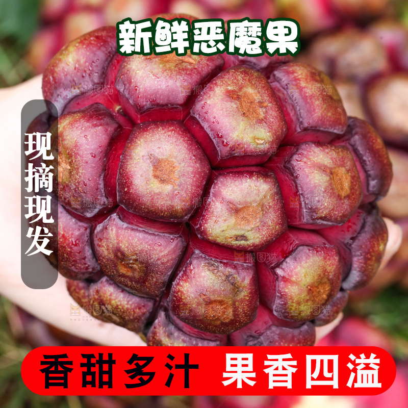 手里拿着恶魔果