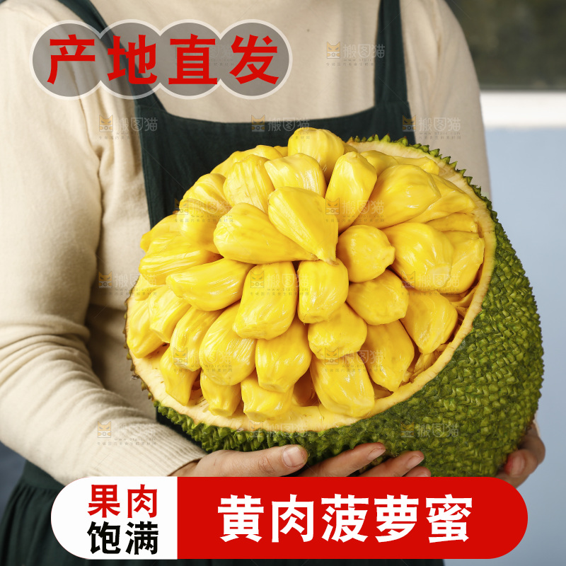 手里抱着海南黄肉菠萝蜜