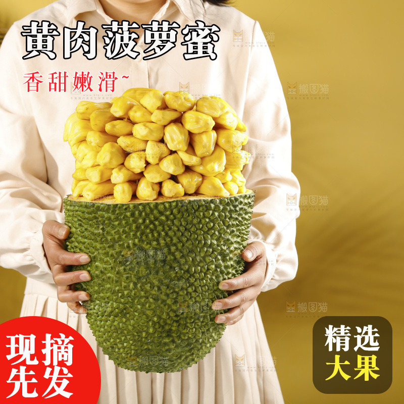 手里抱着海南黄肉菠萝蜜