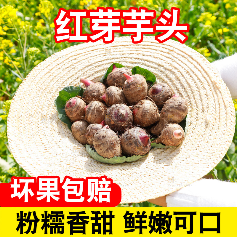 草帽里的小芋头