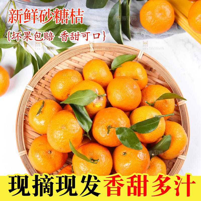 白底上放着一篮砂糖桔