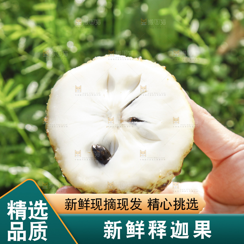 切开的牛奶释迦果