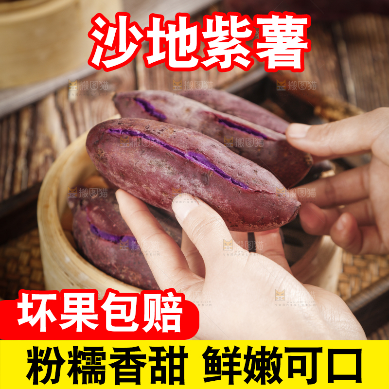 手里拿着沙地紫薯