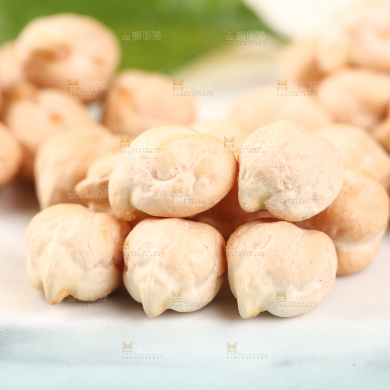 石垫上的新疆鹰嘴豆