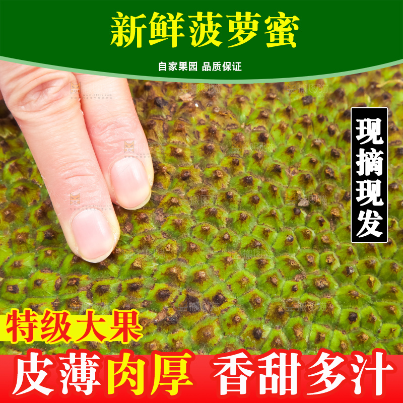 一个完整泰国菠萝蜜