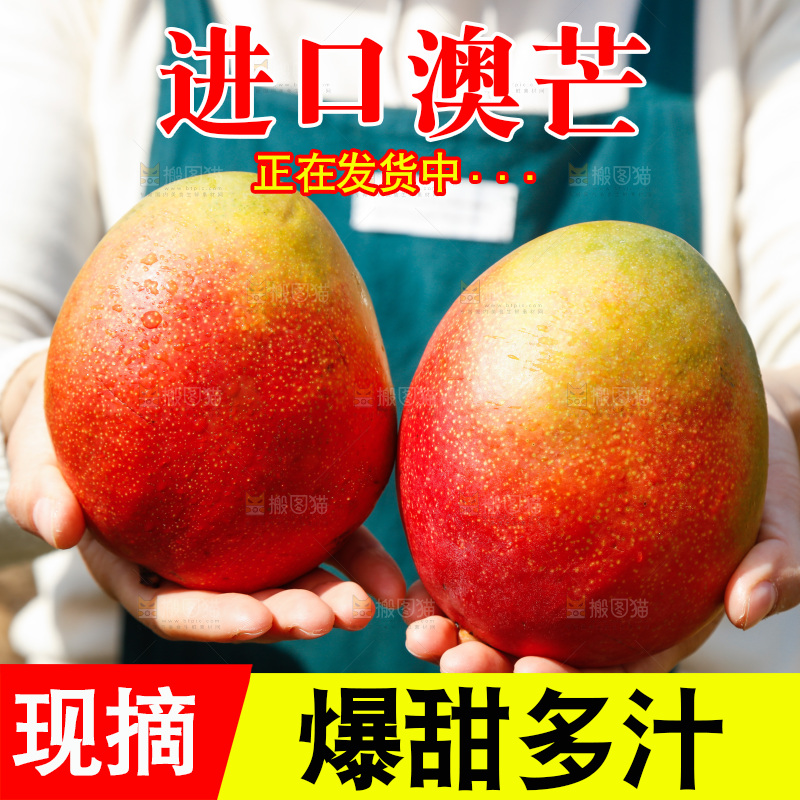 手里拿着澳芒