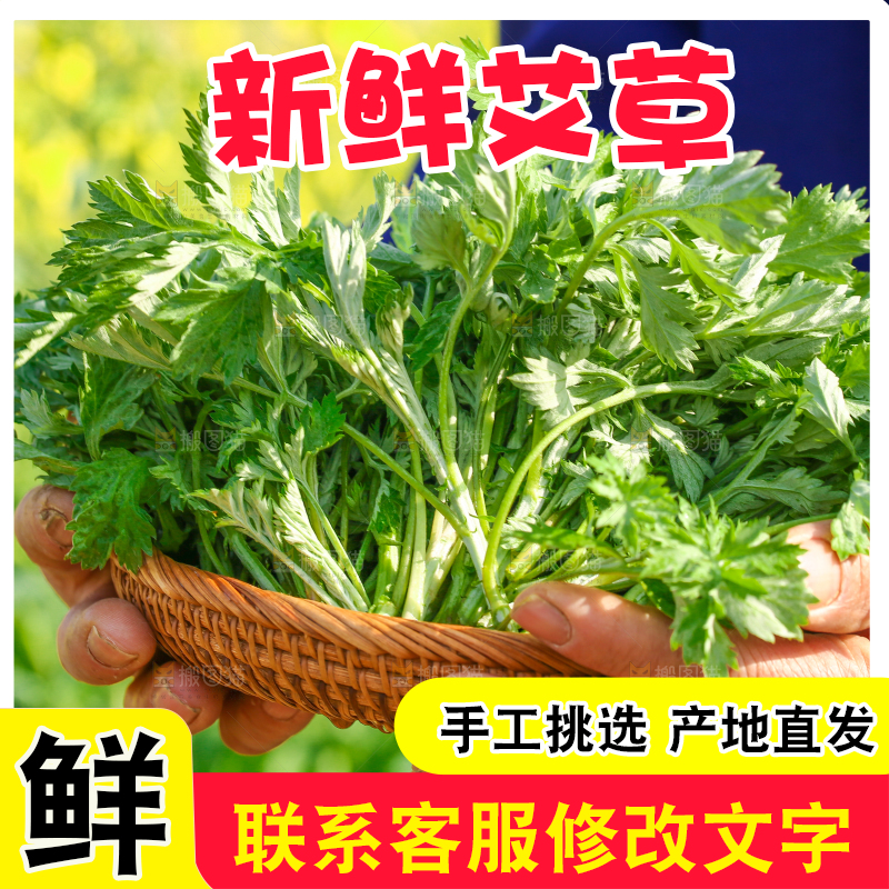 一篮新鲜艾叶