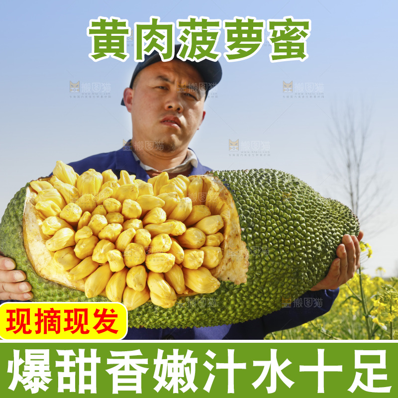 手里抱着黄肉菠萝蜜