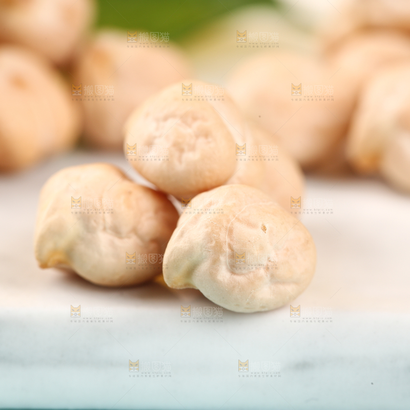 石垫上的新疆鹰嘴豆