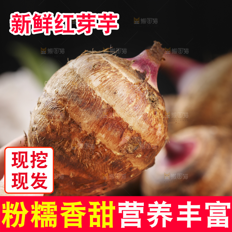 手里拿着红嘴芋头