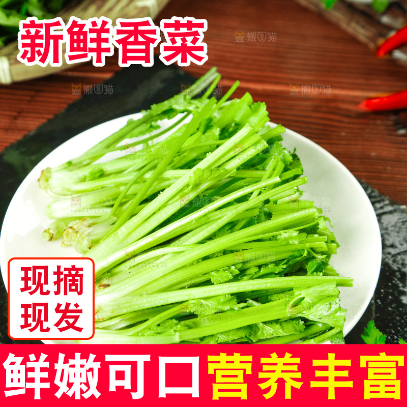 一盘香菜
