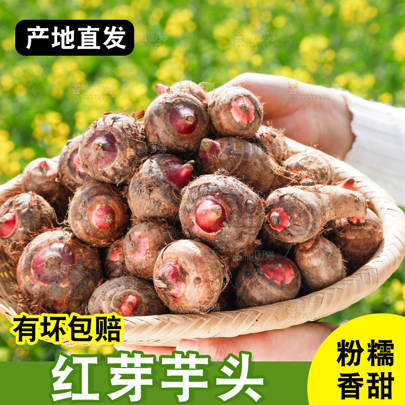 一簸箕红芽芋头