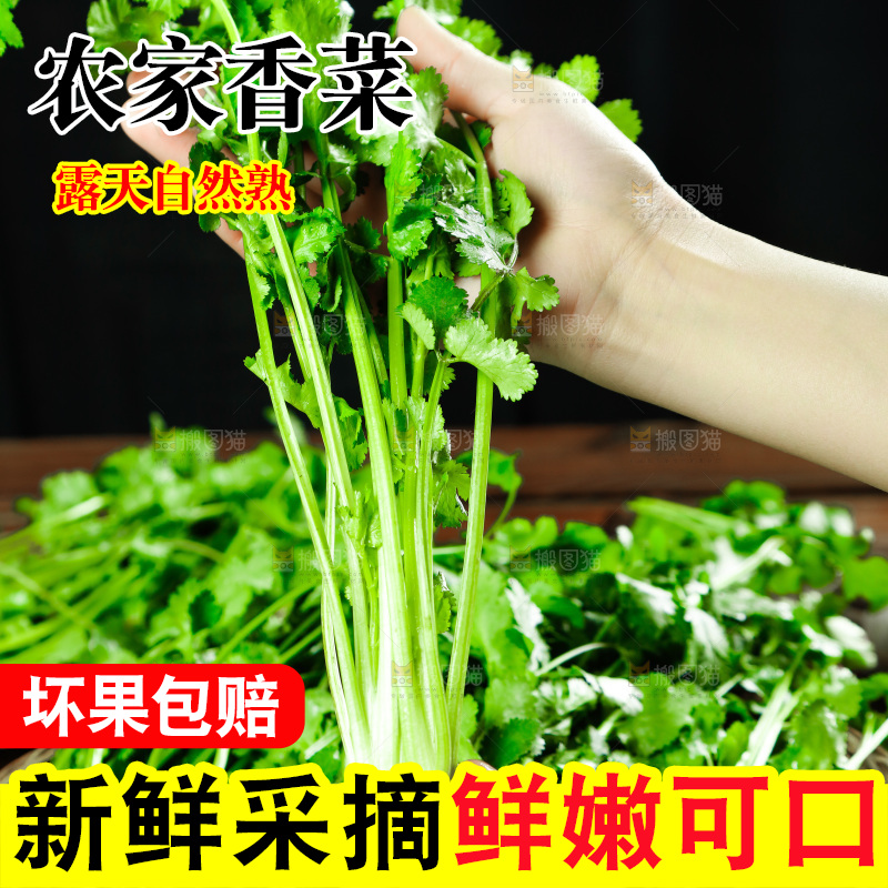 手里拿着小香菜