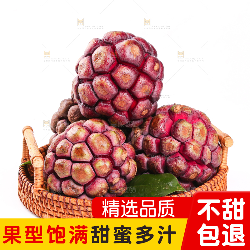 一篮新鲜黑老虎