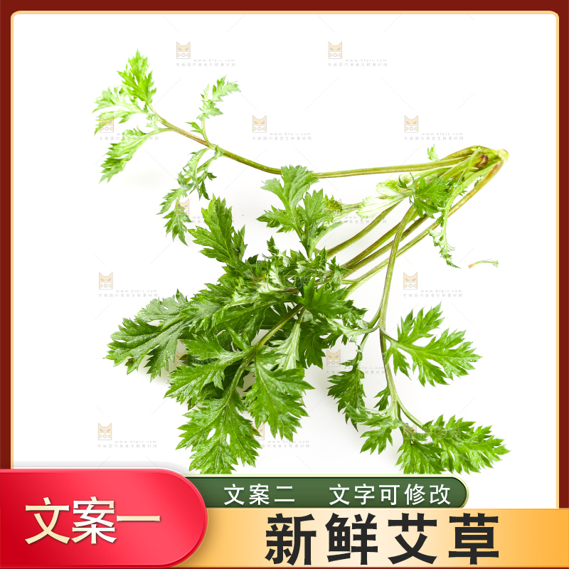 白底上放着嫩艾草