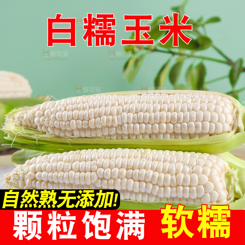一堆白糯玉米棒