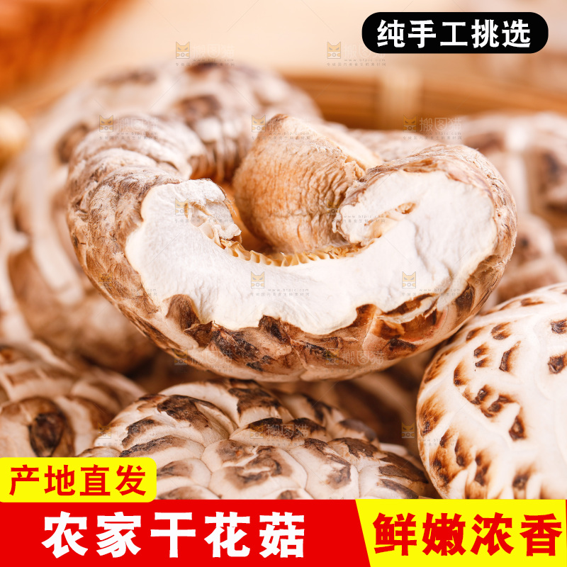 一堆长白山花菇