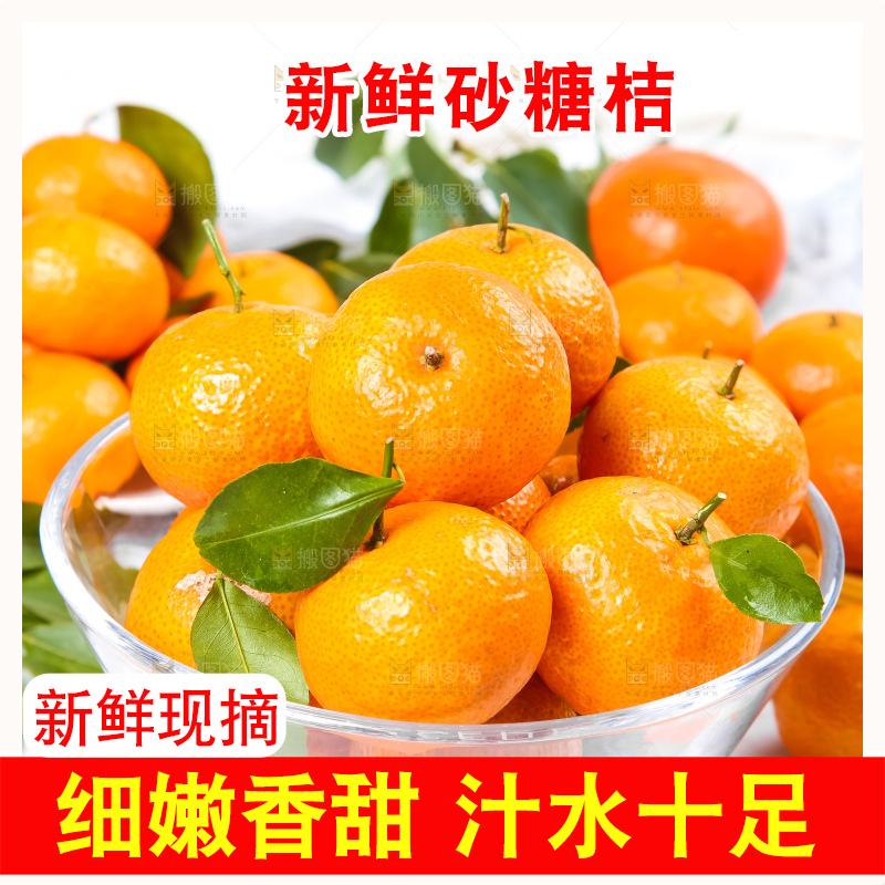 碗里装着四会砂糖橘