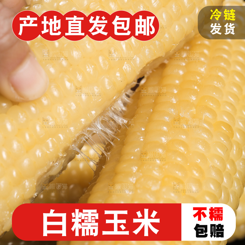 手里拿着白糯玉米棒