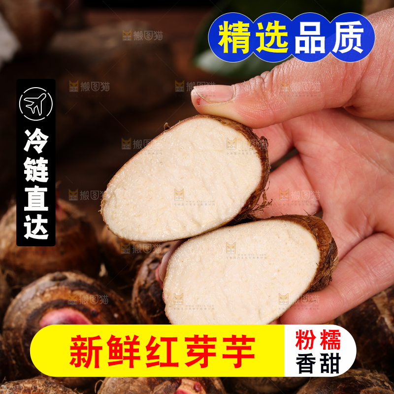 手里拿着红嘴芋头