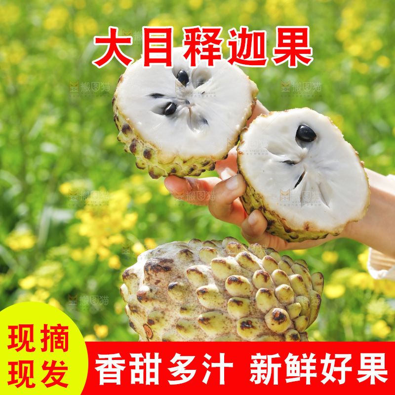 手里拿着释迦果