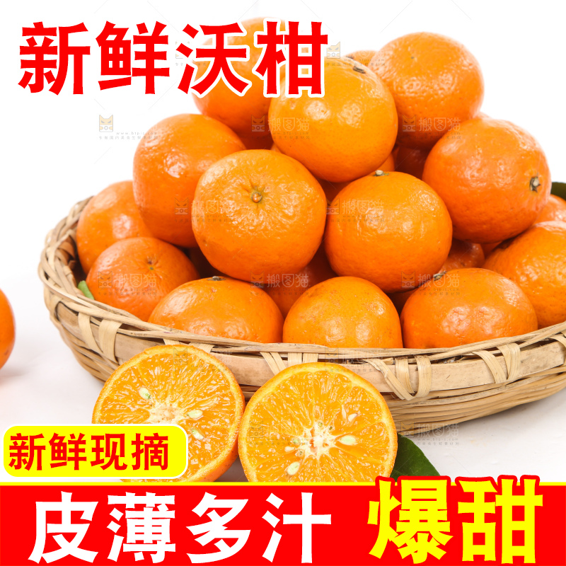 一篮新鲜广西沃柑