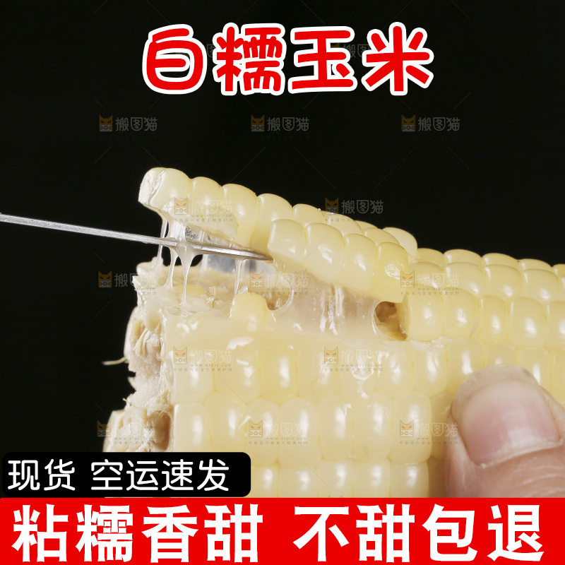 叉子上插着甜糯白玉米