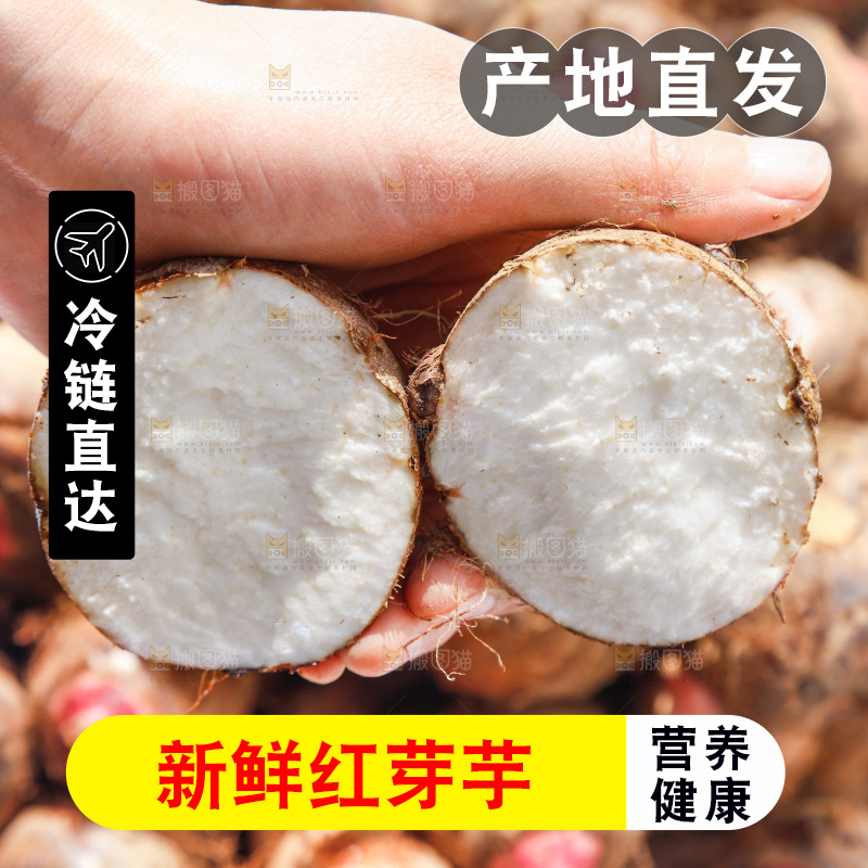 手里拿着切开的芋头