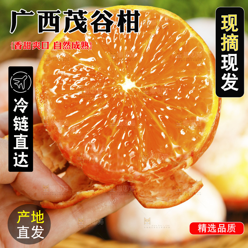 手里拿着茂谷柑