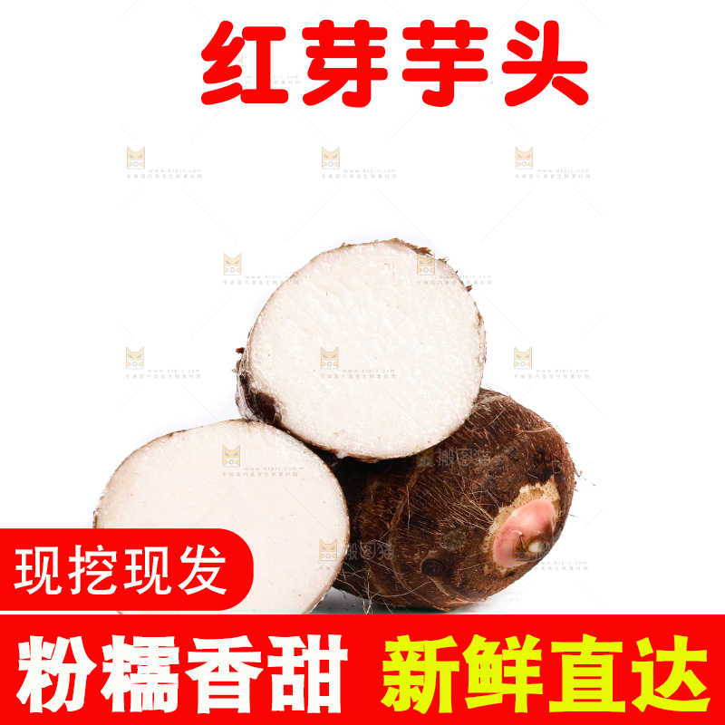 白底上摆放着红芽芋