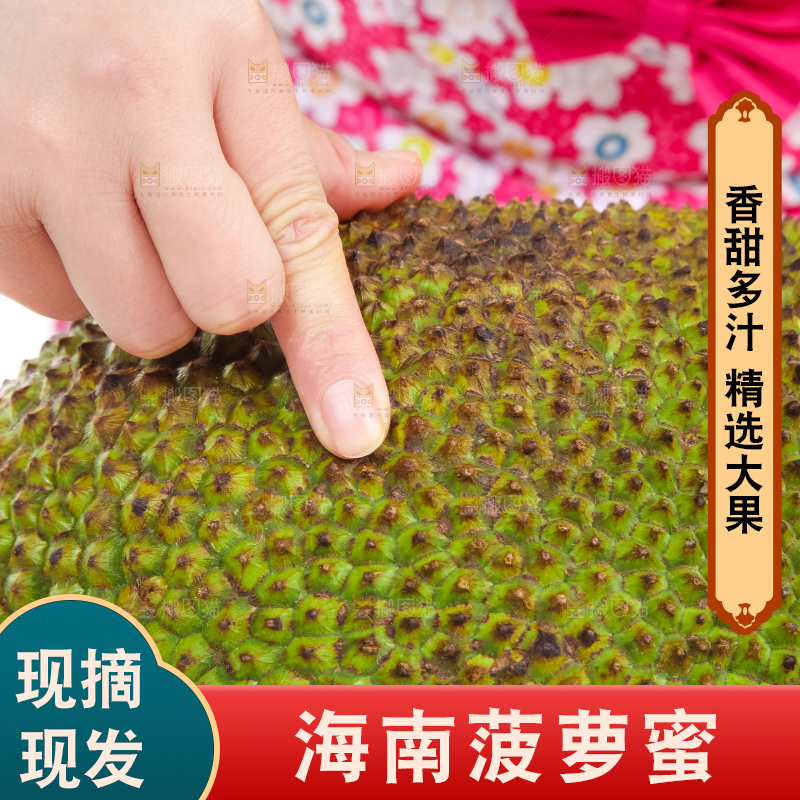 一个完整泰国菠萝蜜