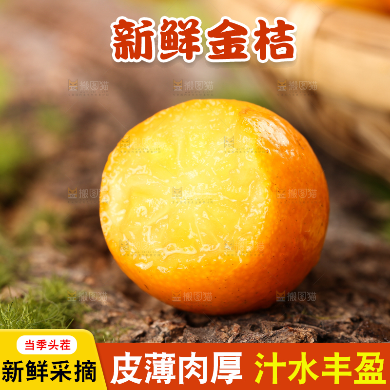 草地上的金橘