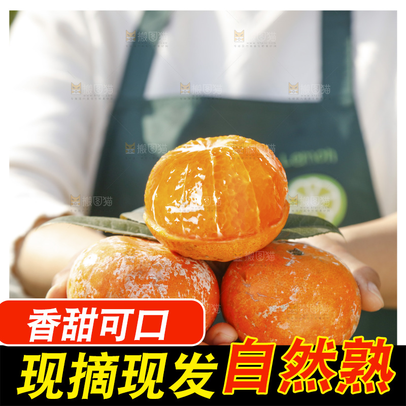 手里捧着武鸣茂谷柑