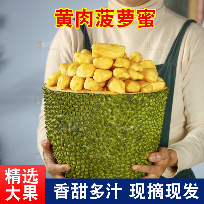 手里抱着海南黄肉菠萝蜜