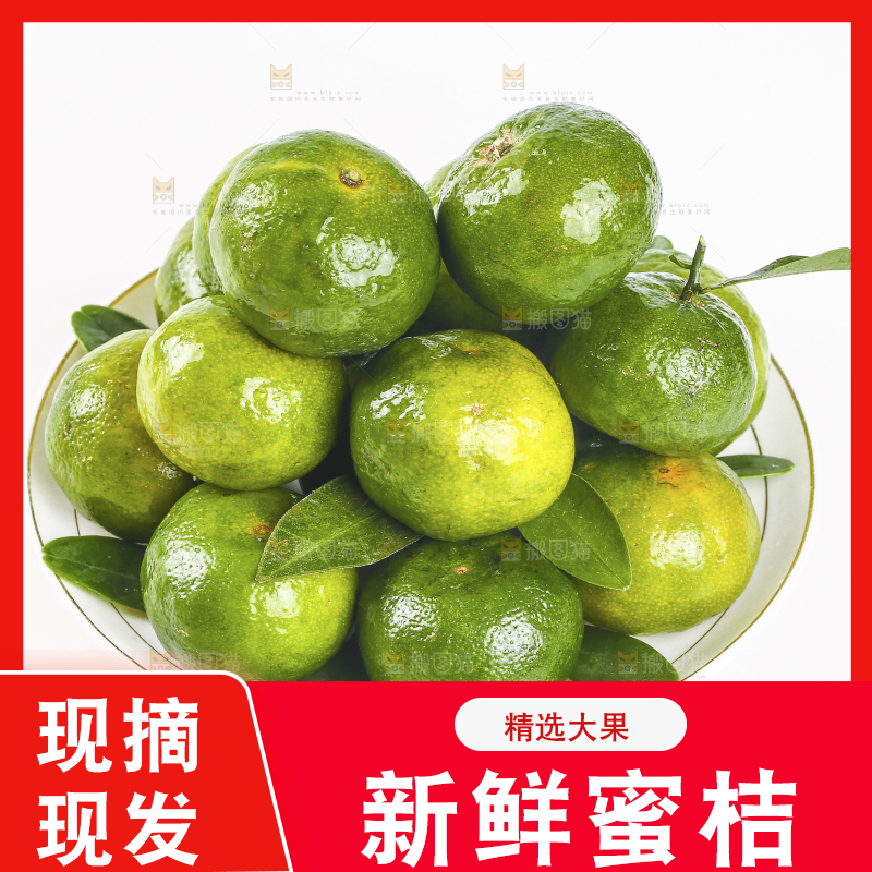 一盘广西清香蜜桔摆放在白底上