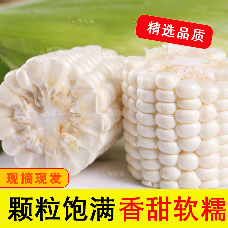 新鲜的白糯玉米