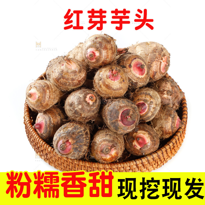 一篮红芽芋头