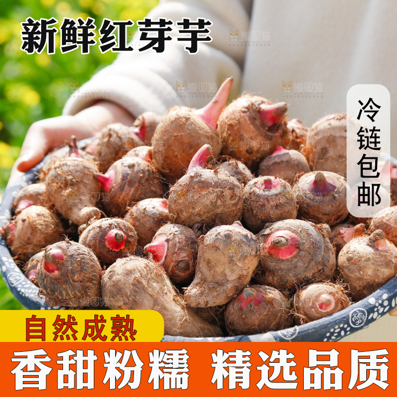 一篮新鲜红芽芋头