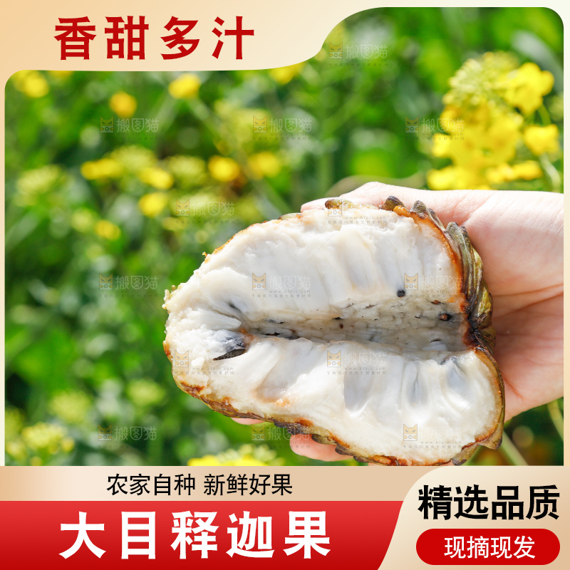 手里拿着释迦果