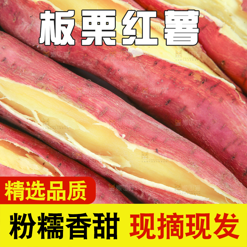 板栗薯