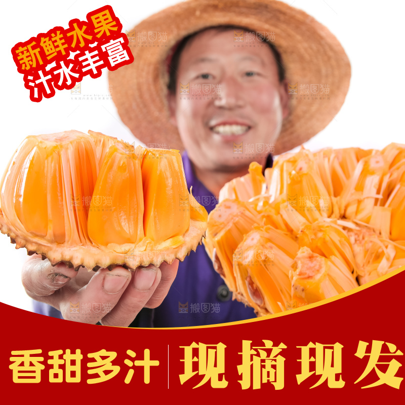农民手里拿着红肉菠萝蜜
