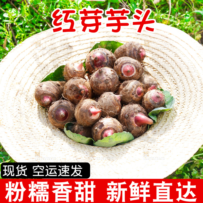 草帽里的小芋头