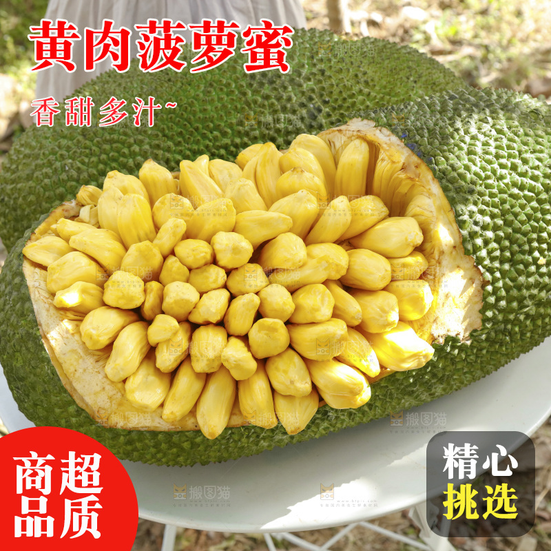 桌子上放着黄肉菠萝蜜