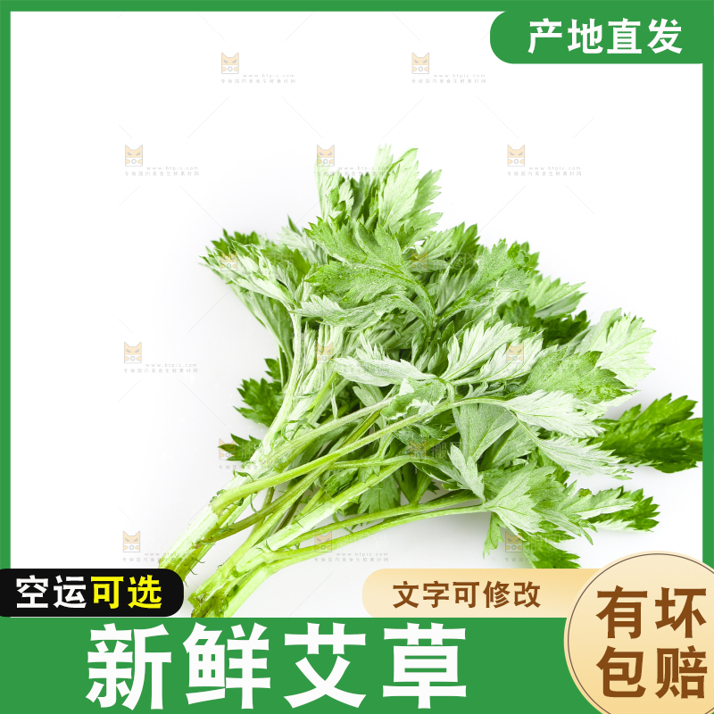 白底上放着艾草叶