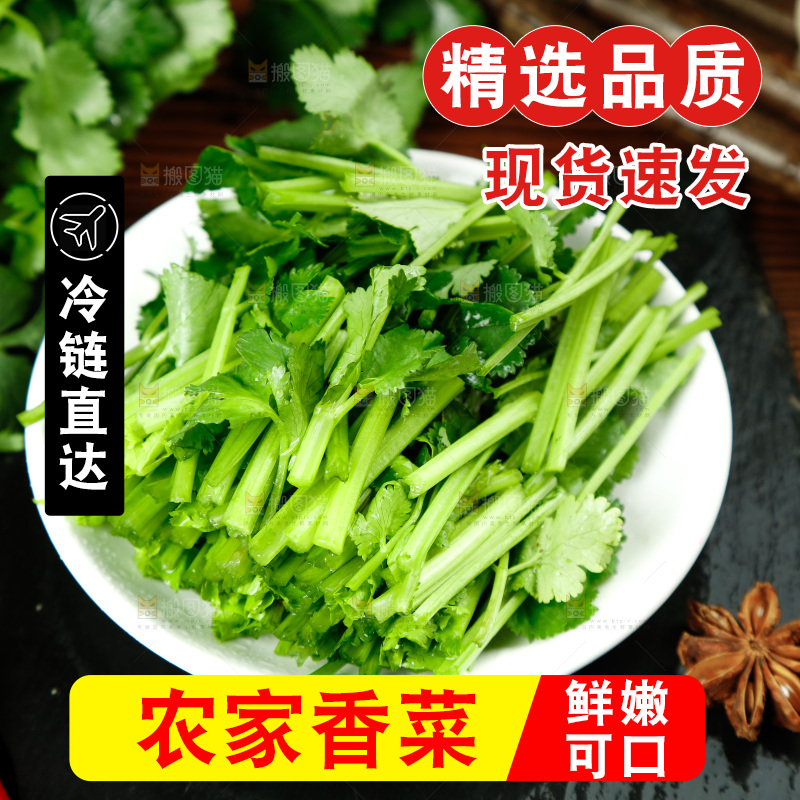 一盘香菜