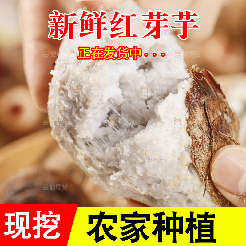 手里拿着蒸熟的小芋头