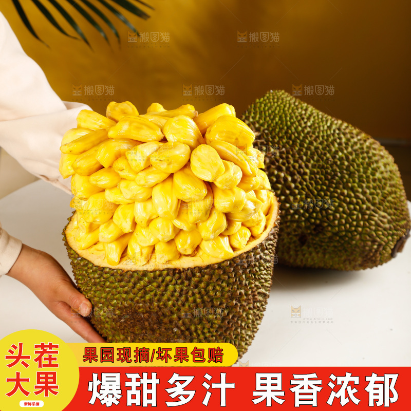 桌子上摆放着黄心菠萝蜜