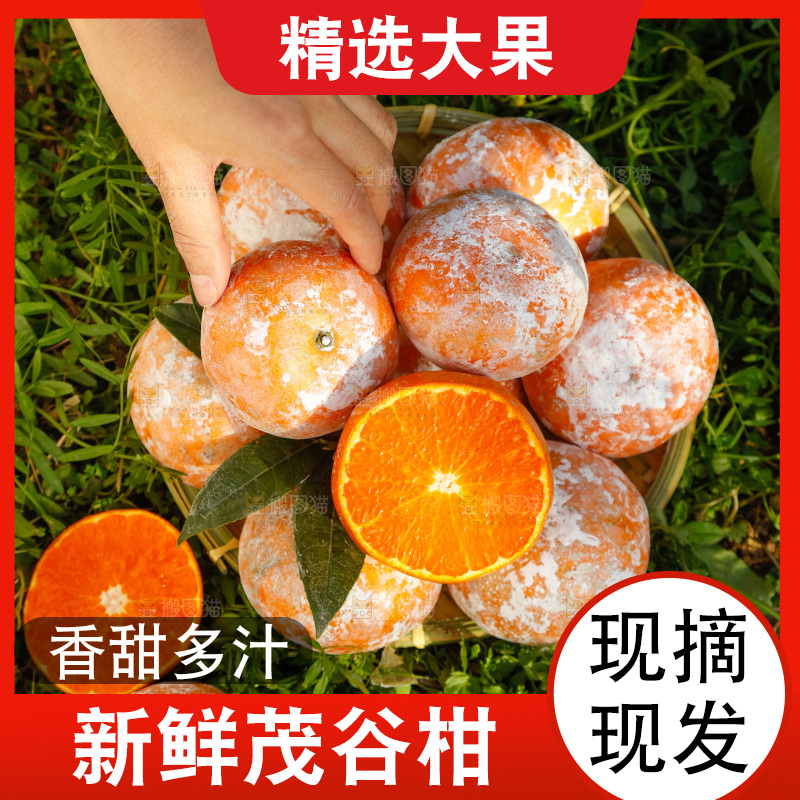 一篮新鲜茂谷柑